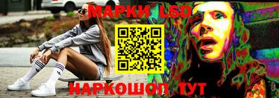 крисы Братск