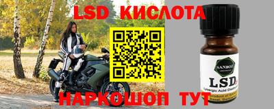 крисы Братск
