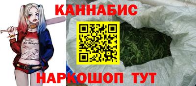 крисы Братск