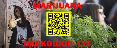 крисы Братск