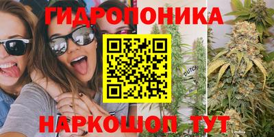 крисы Братск