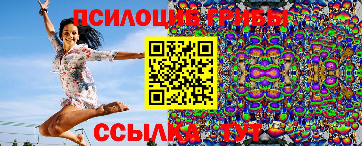 Галлюциногенные грибы Magic Shrooms  Вход с VPN  закладка  Псилоцибиновые грибы MAGIC MUSHROOMS  Алейск 
