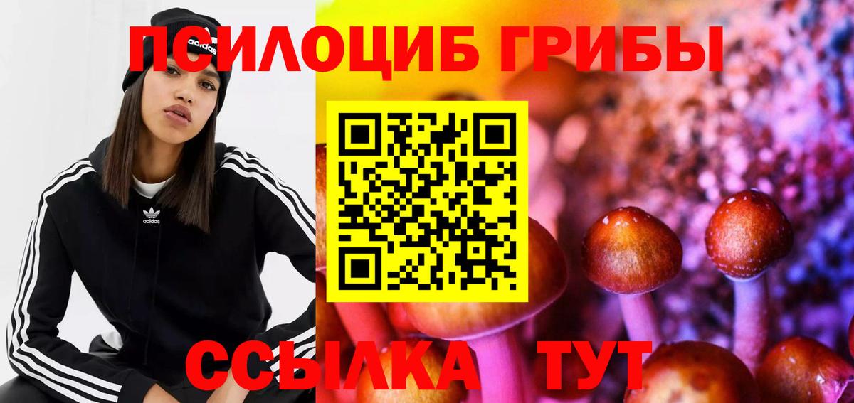 Псилоцибиновые грибы MAGIC MUSHROOMS Алейск